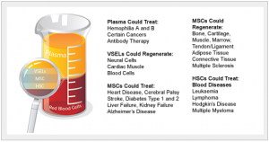 Whole Cord Blood Stem Cell Benefits