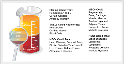 Whole Cord Blood Stem Cell Benefits Medcells Cord Blood Banking